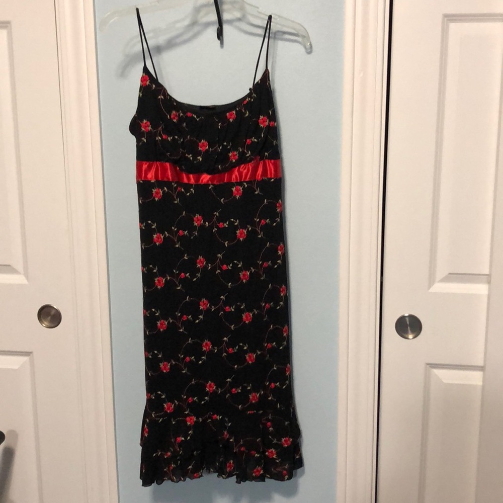 Vanity embroidered 🌹 rose 🌹 dress